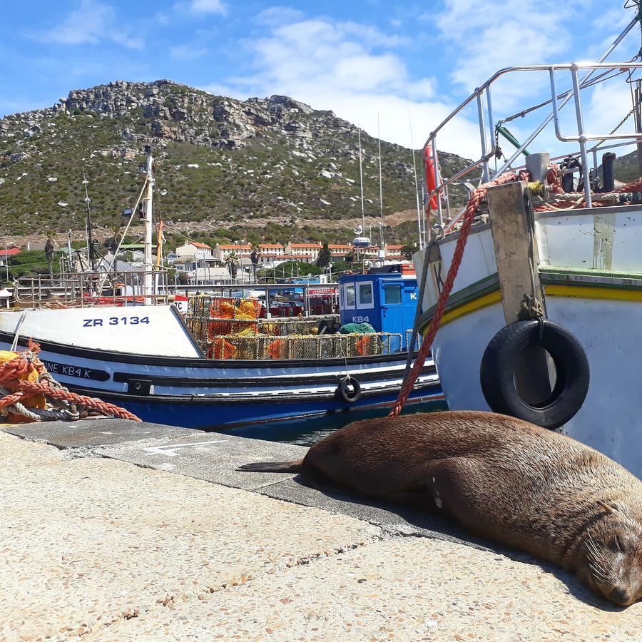 Rosmead Apartment Kalk Bay Exteriér fotografie